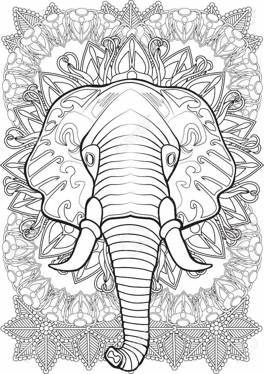 10 Adult themed Elephant Coloring Pages Etsy