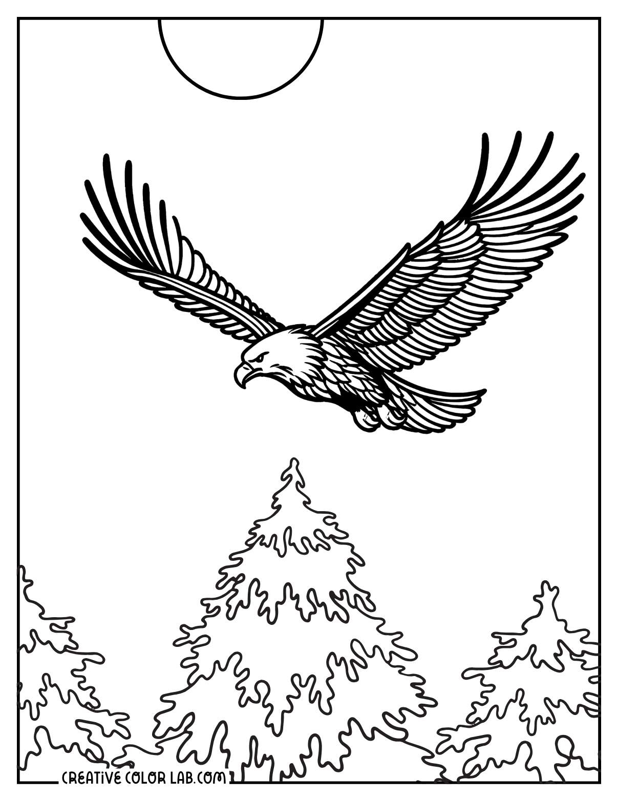 Coloring Pages Realistic Bald Eagle