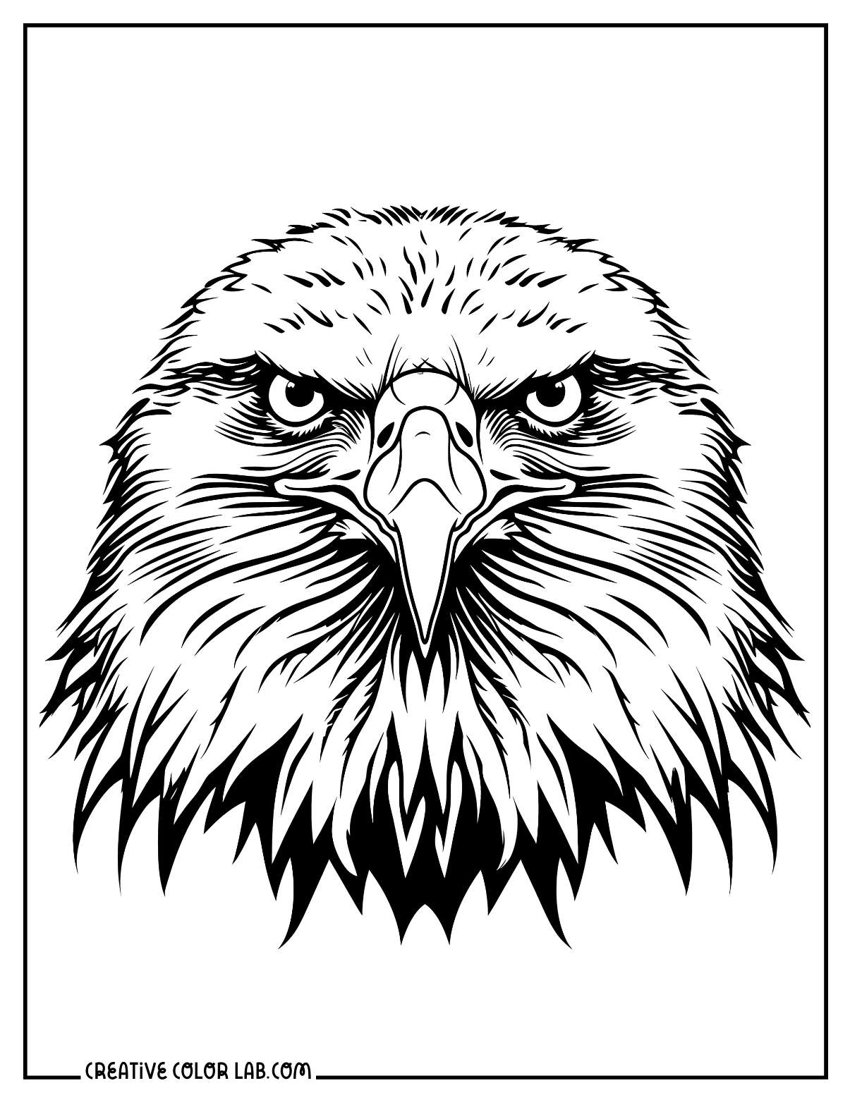 10 Eagle Coloring Pages Free PDF Printables