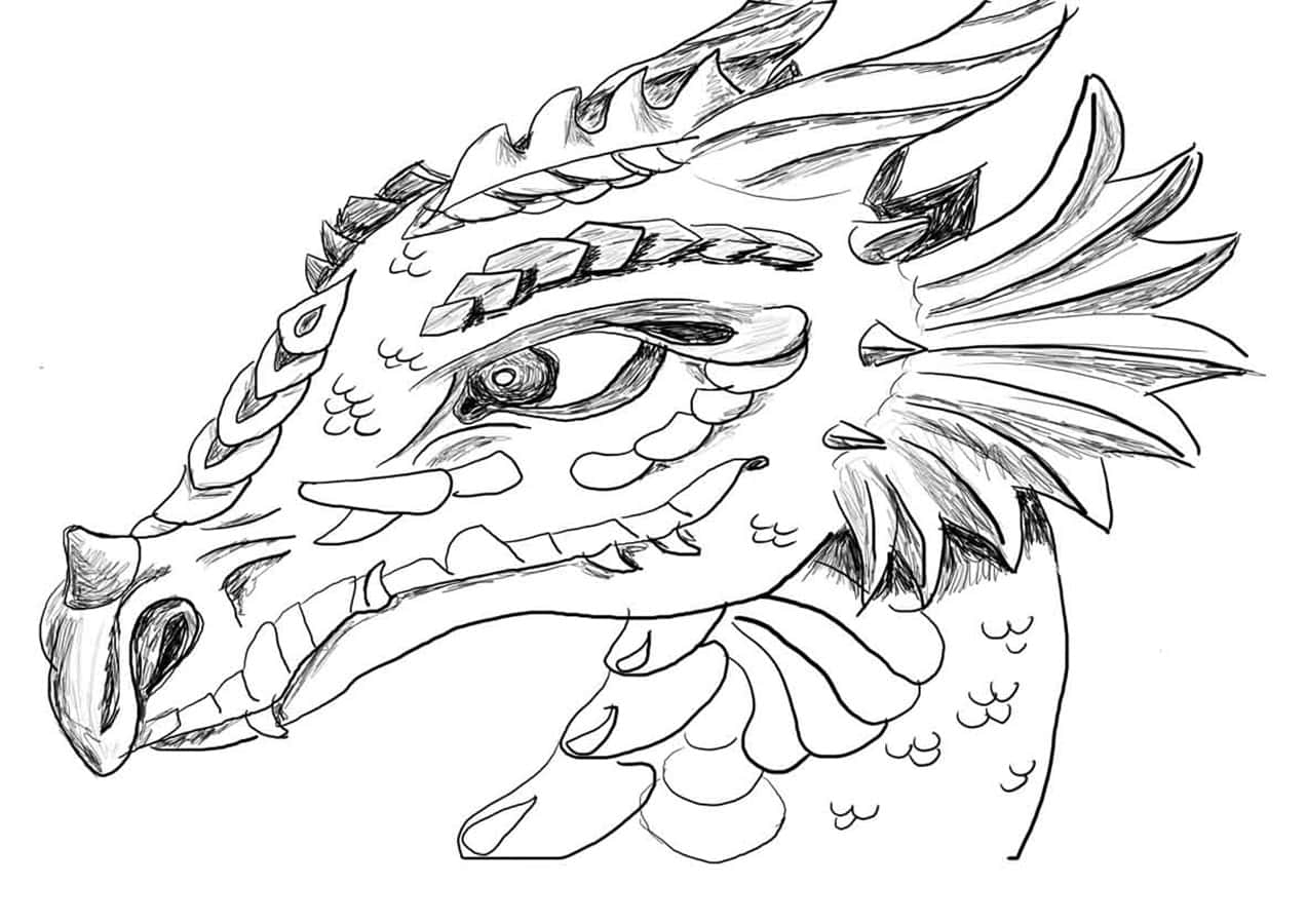 100 Dragon Coloring Pictures Wallpapers