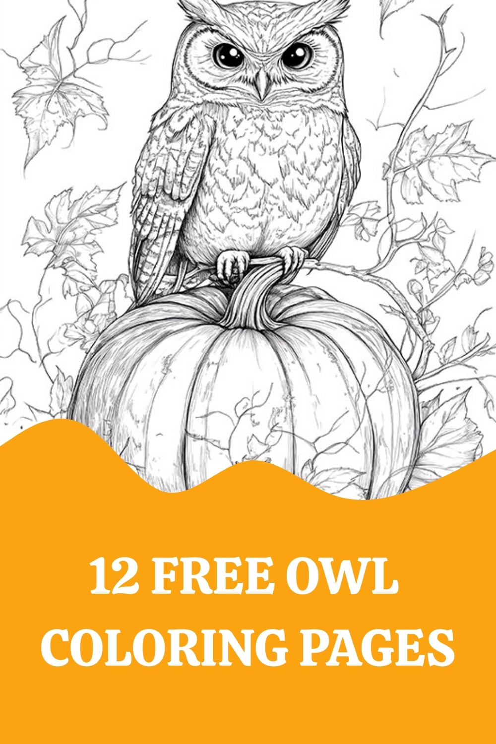 Adult Coloring Pages Animals Owls