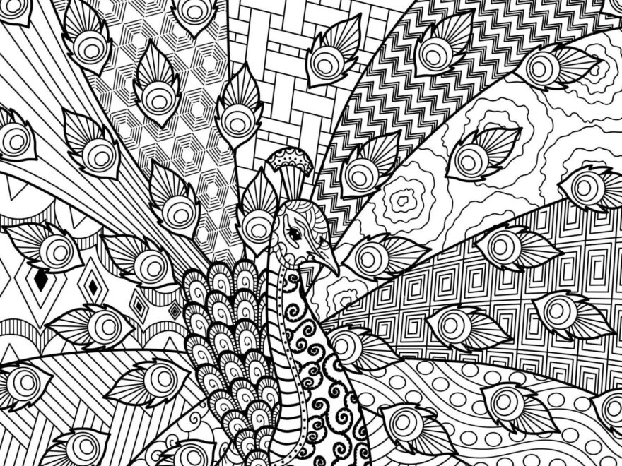 20 Intricate Zen Coloring Pages Etsy