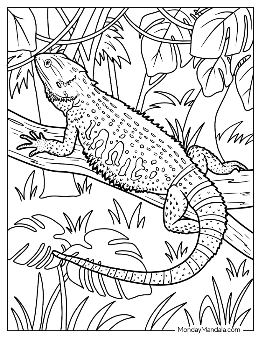 24 Lizard Coloring Pages Free PDF Printables 