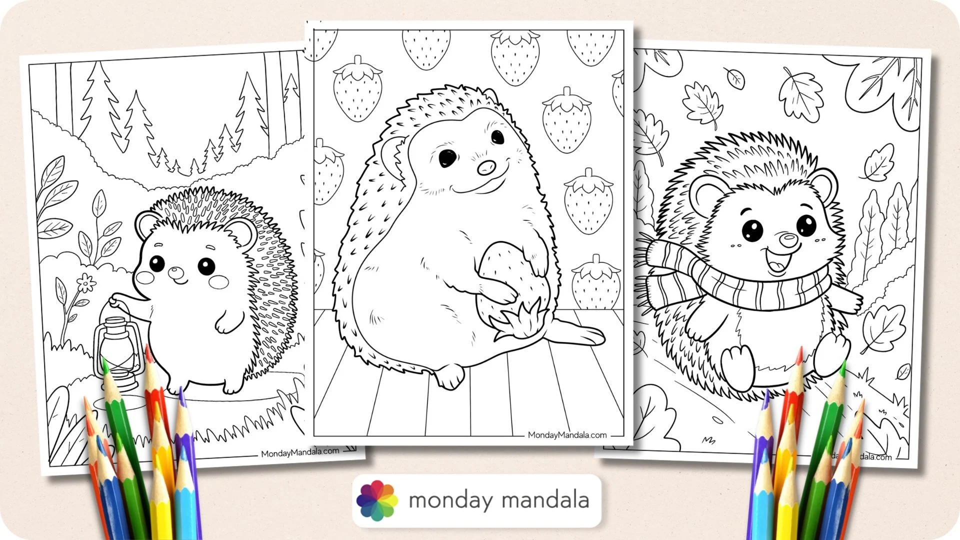 Mandala Hedgehog Coloring Pages