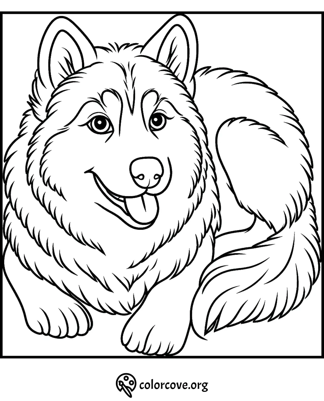 27 Free Husky Coloring Pages The Color Cove