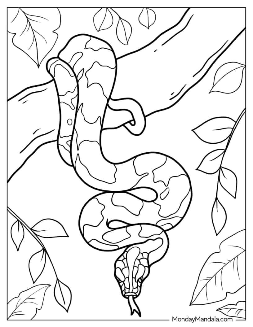 40 Snake Coloring Pages Free PDF Printables 