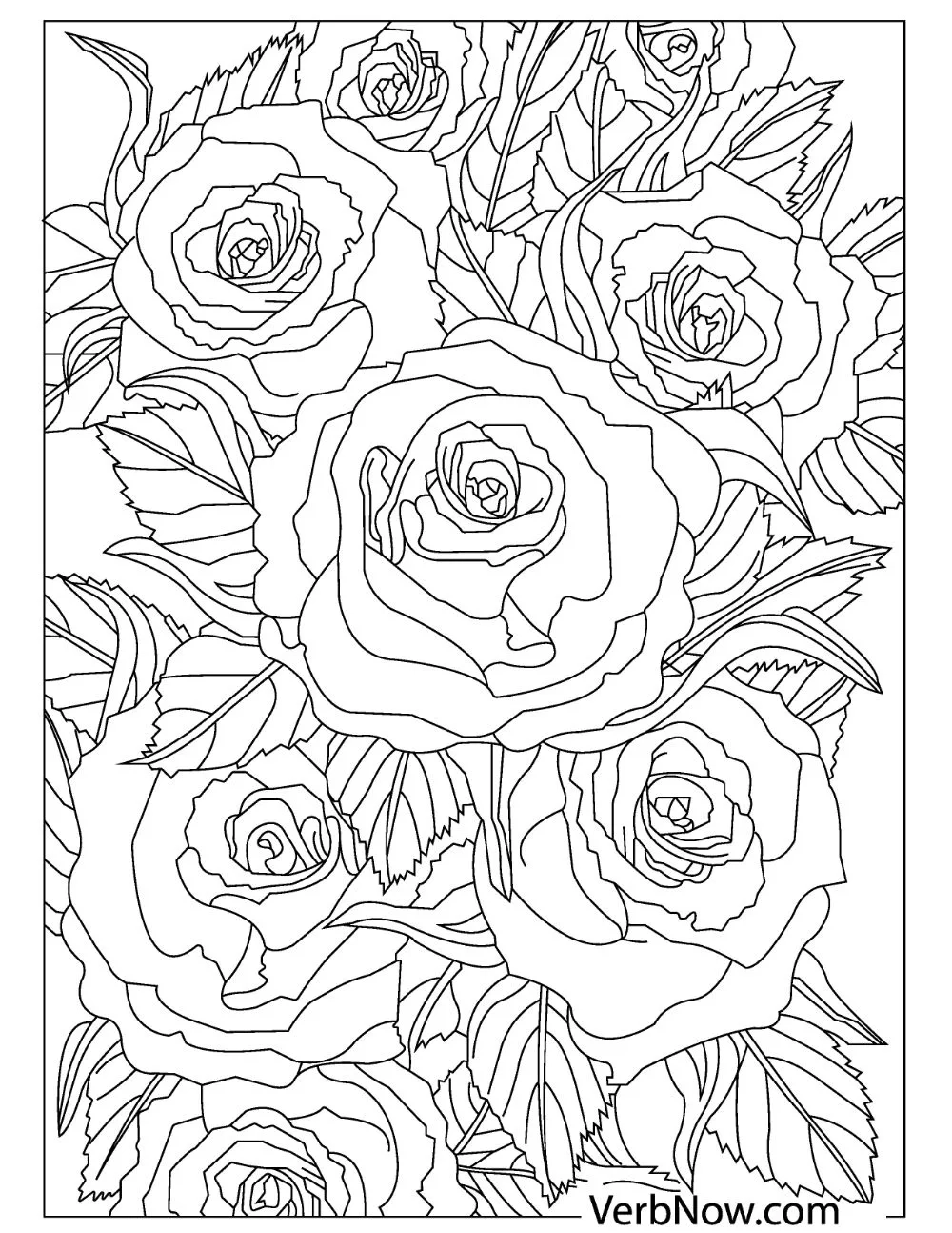 41 Free Flower Coloring Pages Printable PDF 