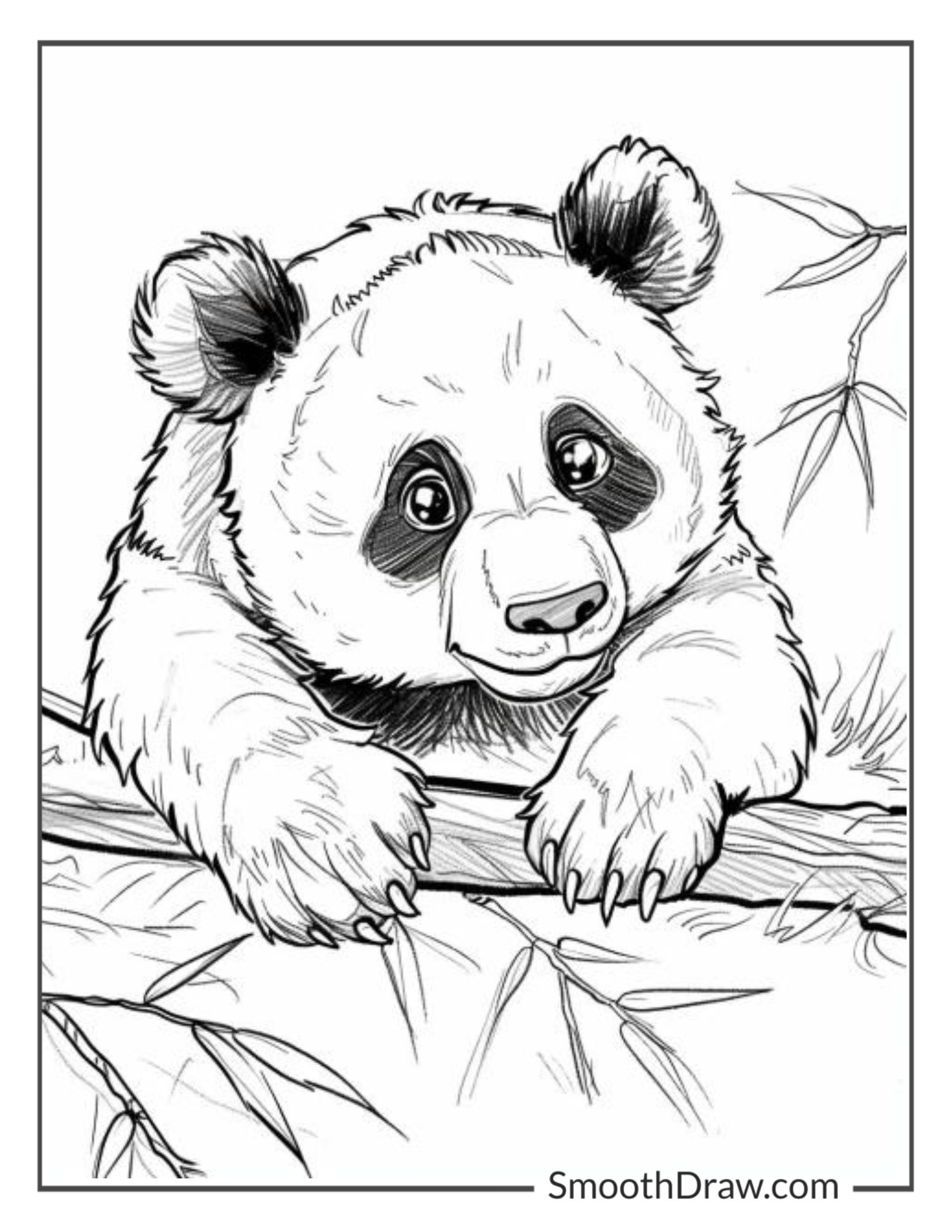 41 Panda Coloring Pages Free Printable PDFs 