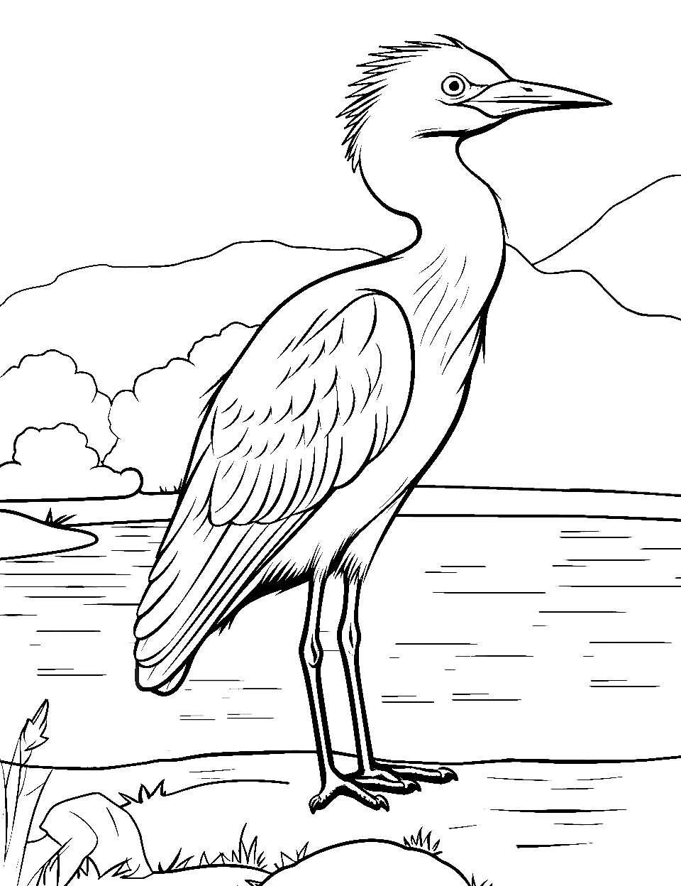 50 Bird Coloring Pages Free Printables 50 Bird Coloring Pages Free Printables