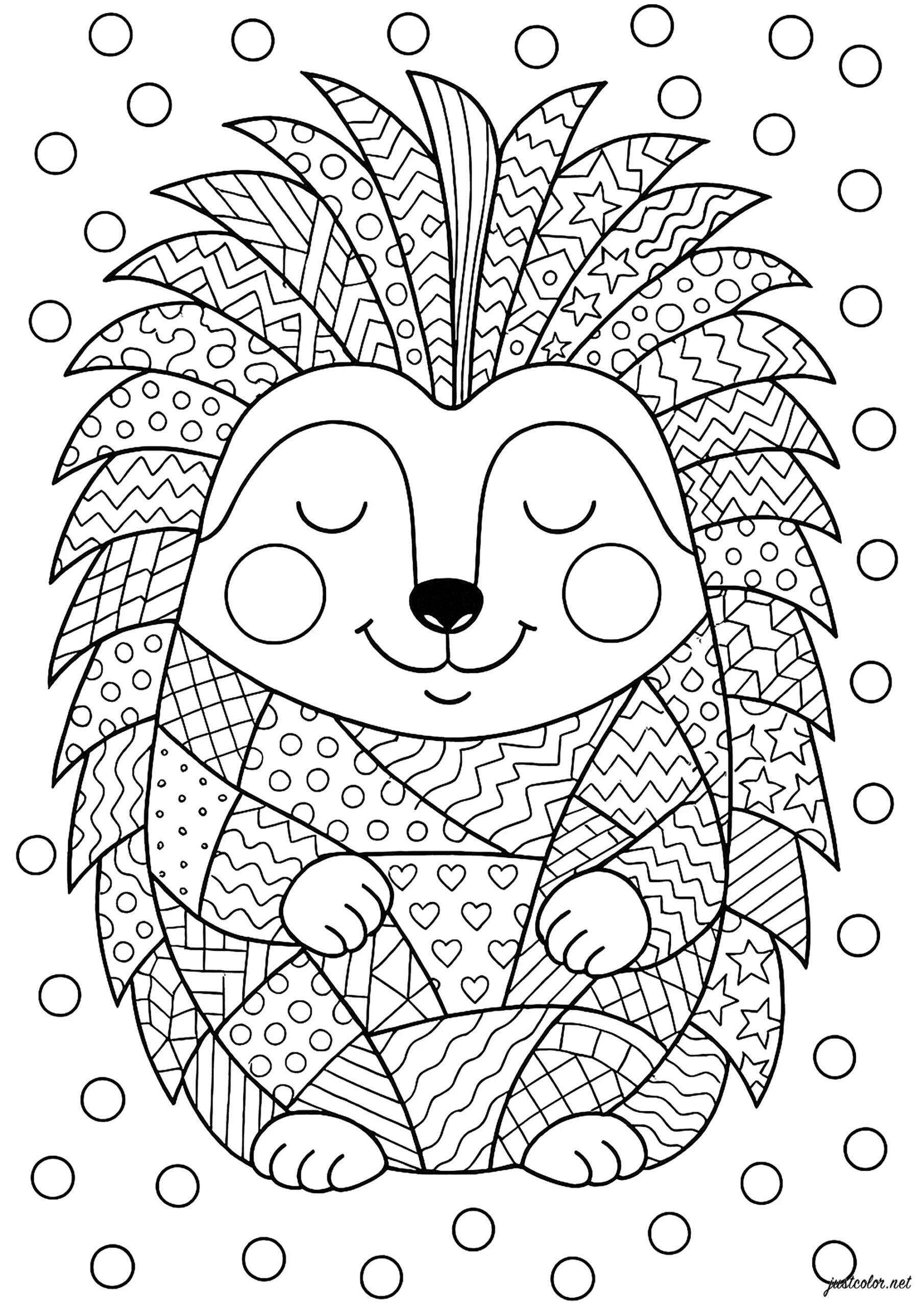 A Cheerful Hedgehog With A Variety Of Patterns Other Animals Coloring Pages