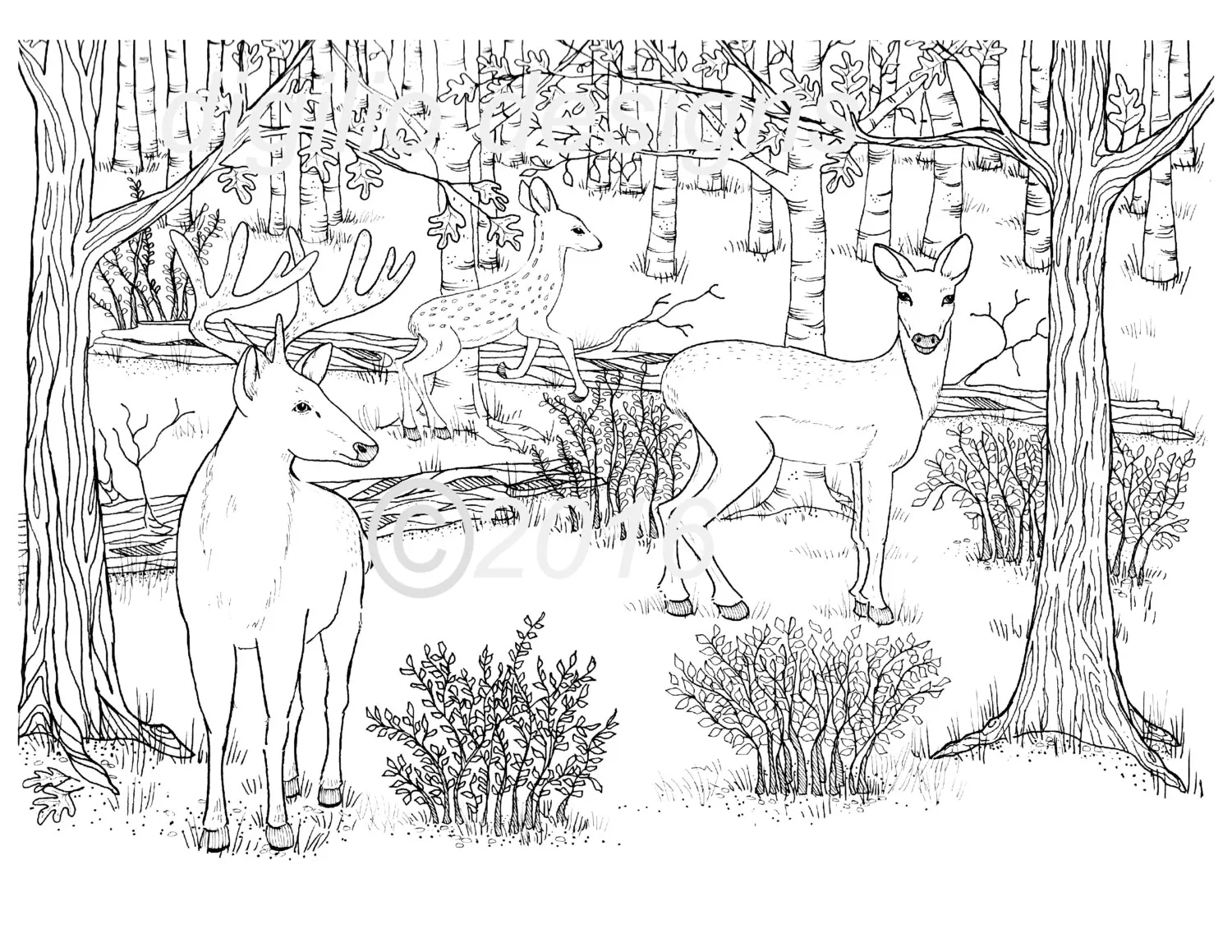 Adult Coloring Page deer woodland forest deer In The Dell wall Decor diy Wall Decor nursery Decor print It Yourself Etsy