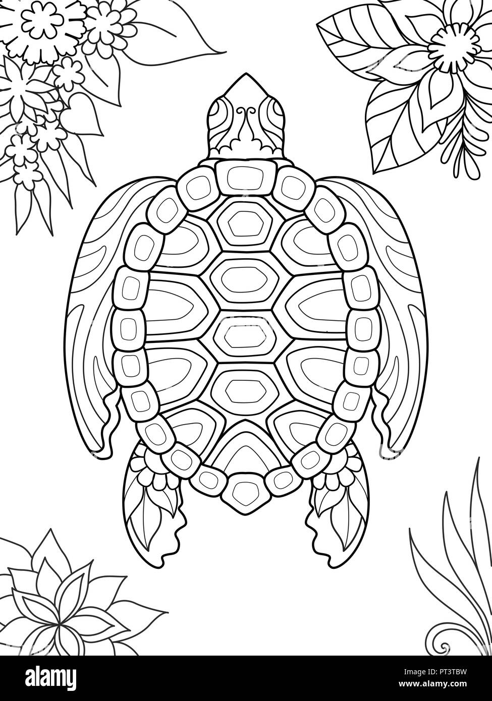 Adult Turtle Silhouette Black And White Stock Photos Images Alamy