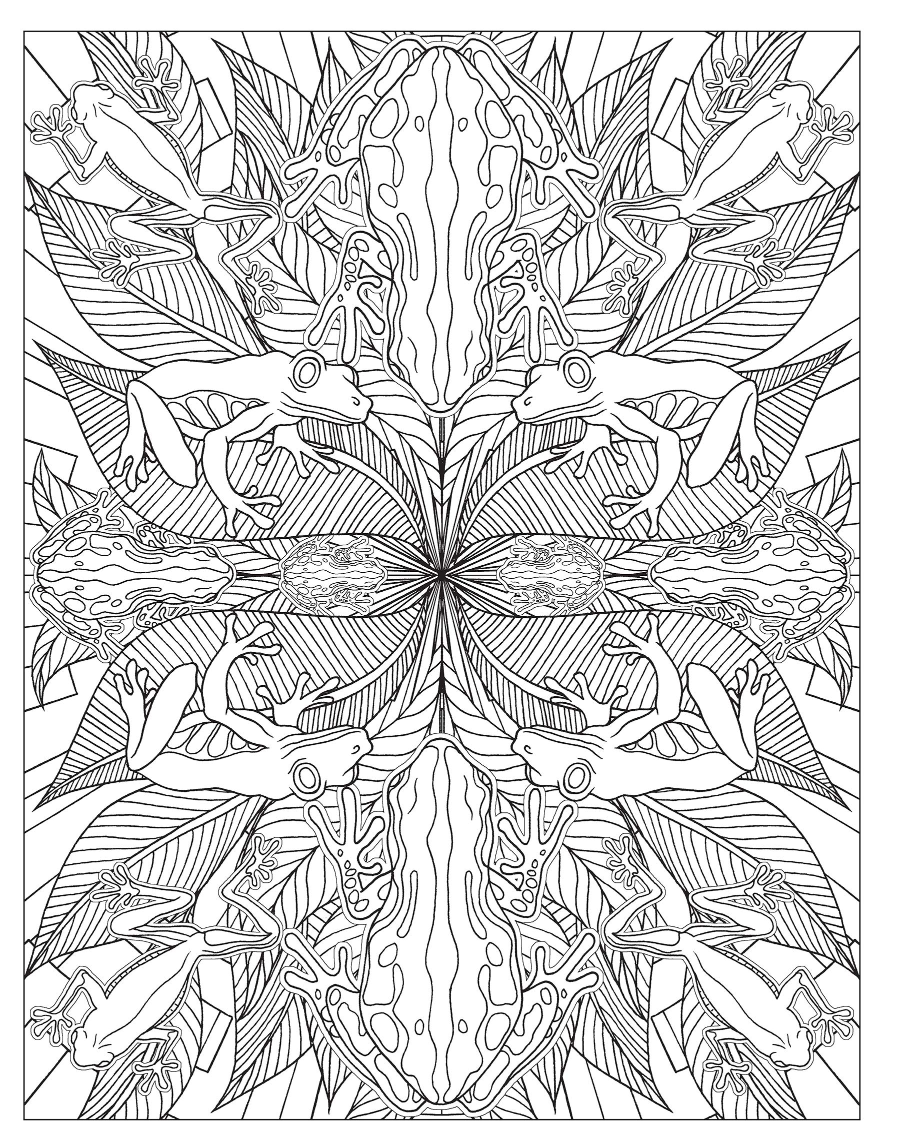 Animal Kaleidoscope Designs Coloring Book A2Z Science Learning Toy Store