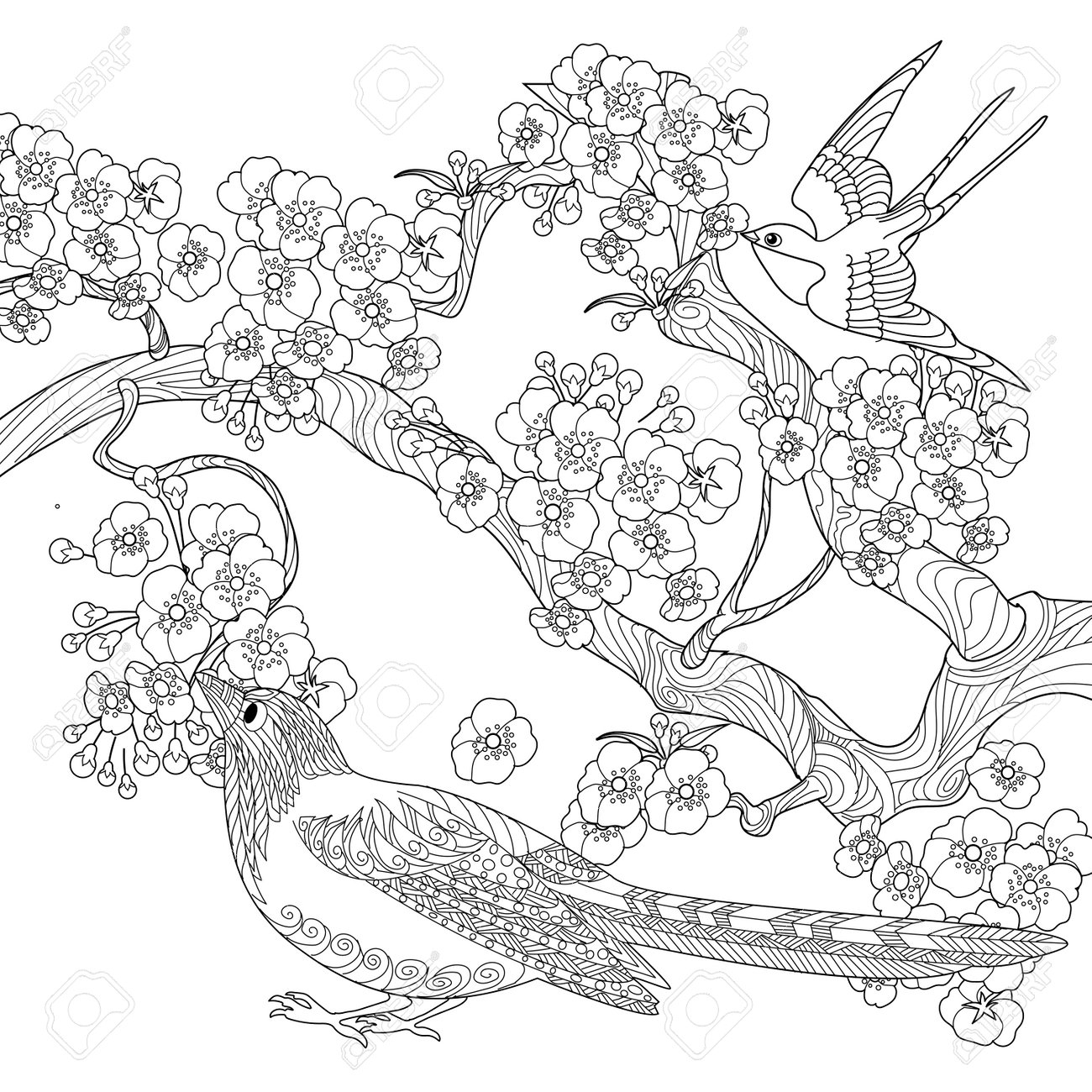 Art Therapy Coloring Page Coloring Book Antistress For Children And Adults Birds And Flowers Hand Drawn In Vintage Style Ideal For Those Who Want To Feel More Connected To Natu Royalty Free