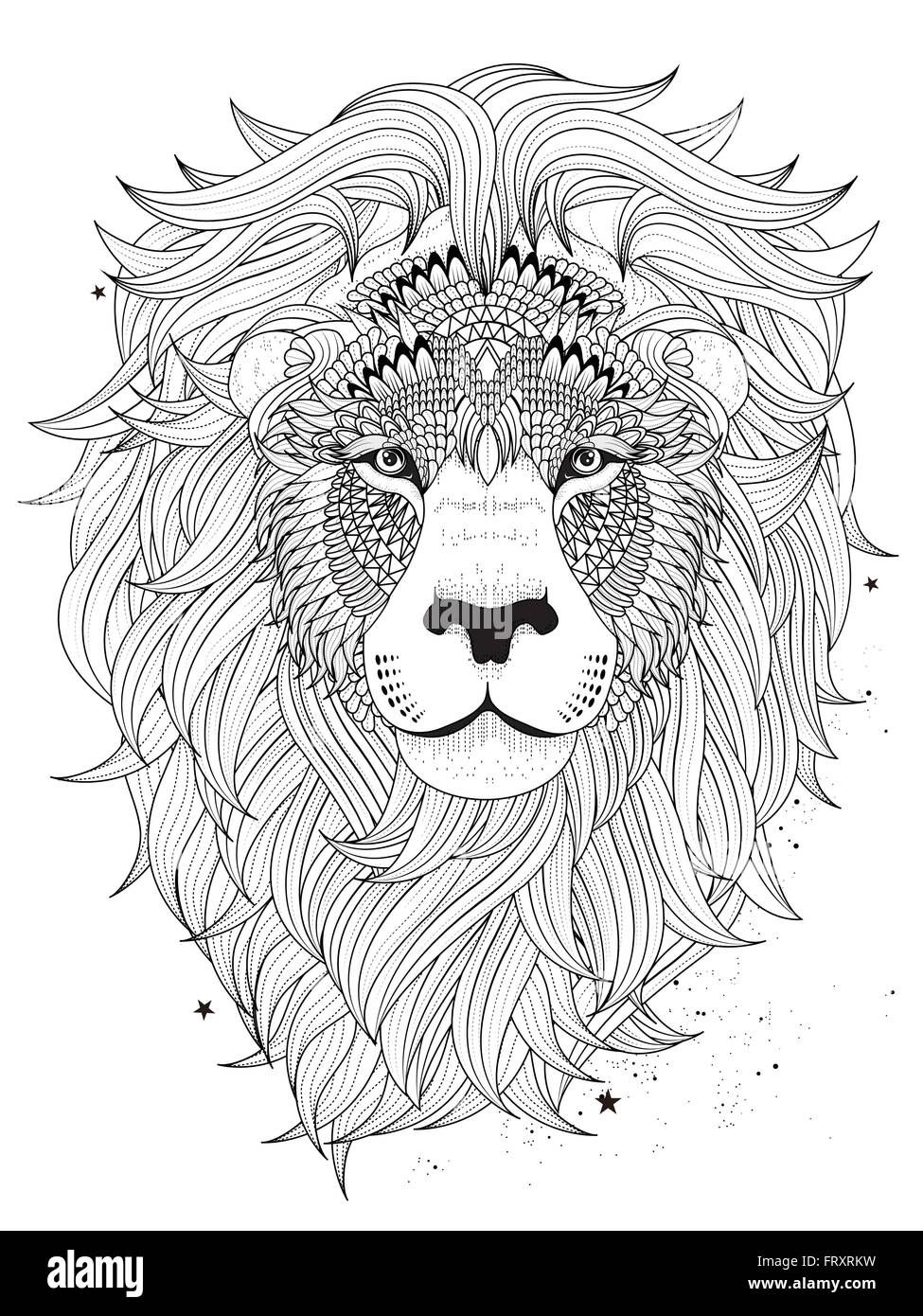 Attractive Fluffy Lion Head Adult Coloring Page Stock Vector Image Art Alamy