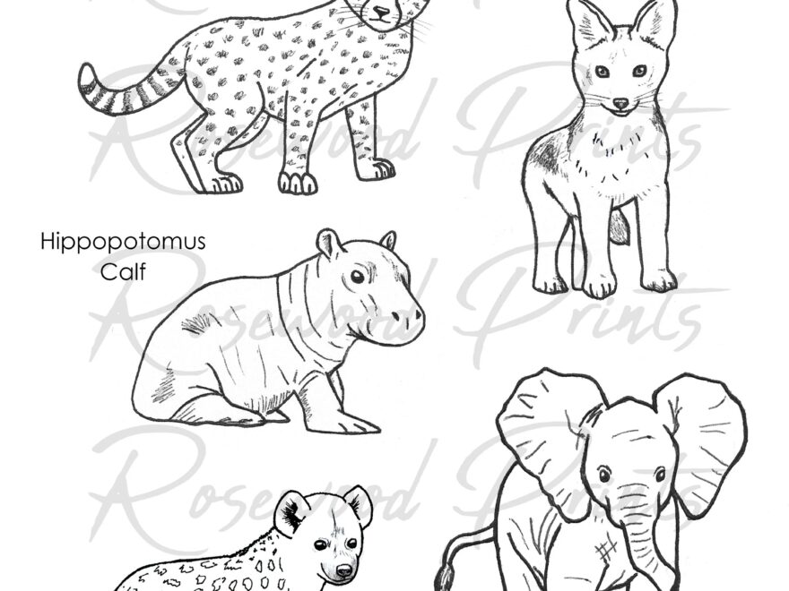 Baby Safari Animals Coloring Pages Etsy