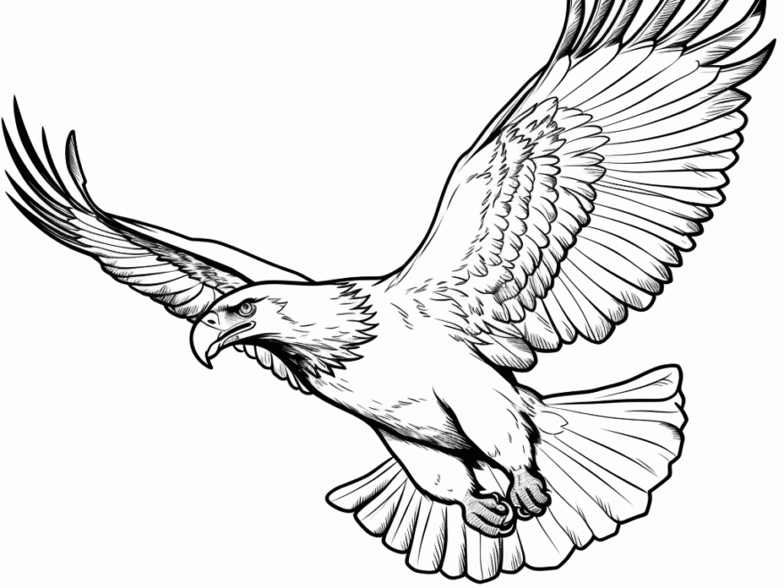 Bald Eagle Coloring Pages Free Printable