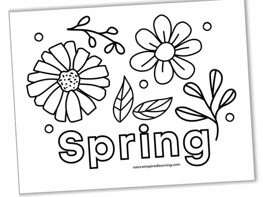 Beautiful Spring Coloring Pages Nature Inspired Learning