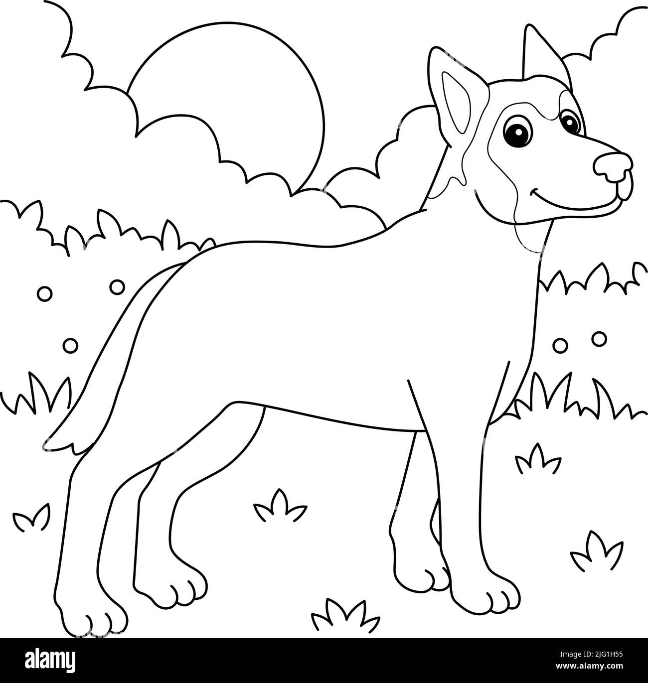 Belgian Malinois Dog Coloring Page For Kids Stock Vector Image Art Alamy