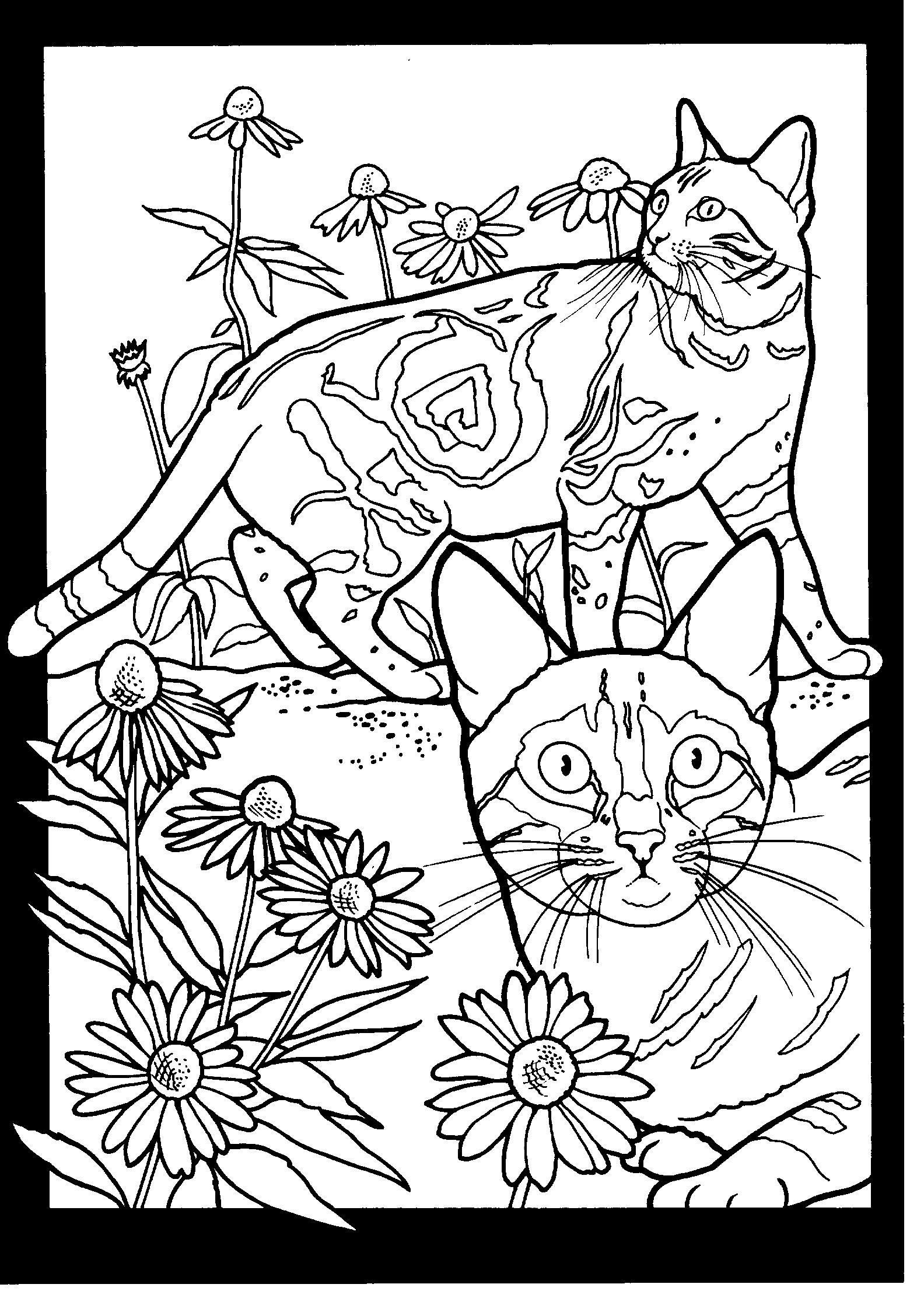 Bengal Cat Coloring Pages