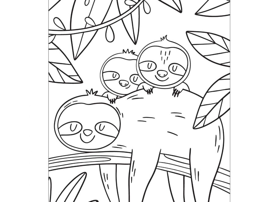Books Gifts Art Hobbies Coloring Books Sloths Coloring Book Awesome Coloring Pages With Fun Facts About Silly Sloths Book Paracay Wholesale Books Gifts Navigational
