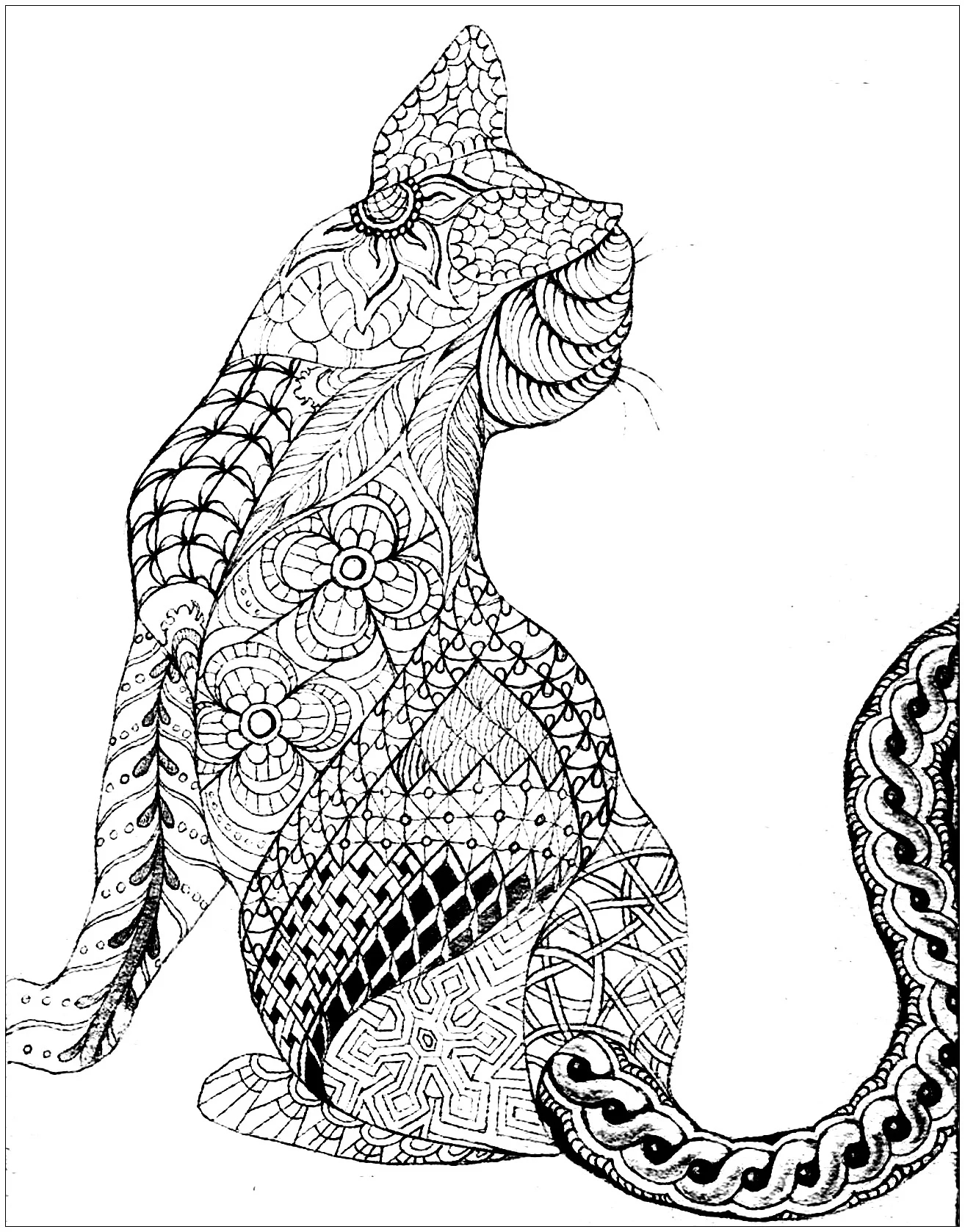 Cat From Back Cat Coloring Pages For Adults Page Page 4 