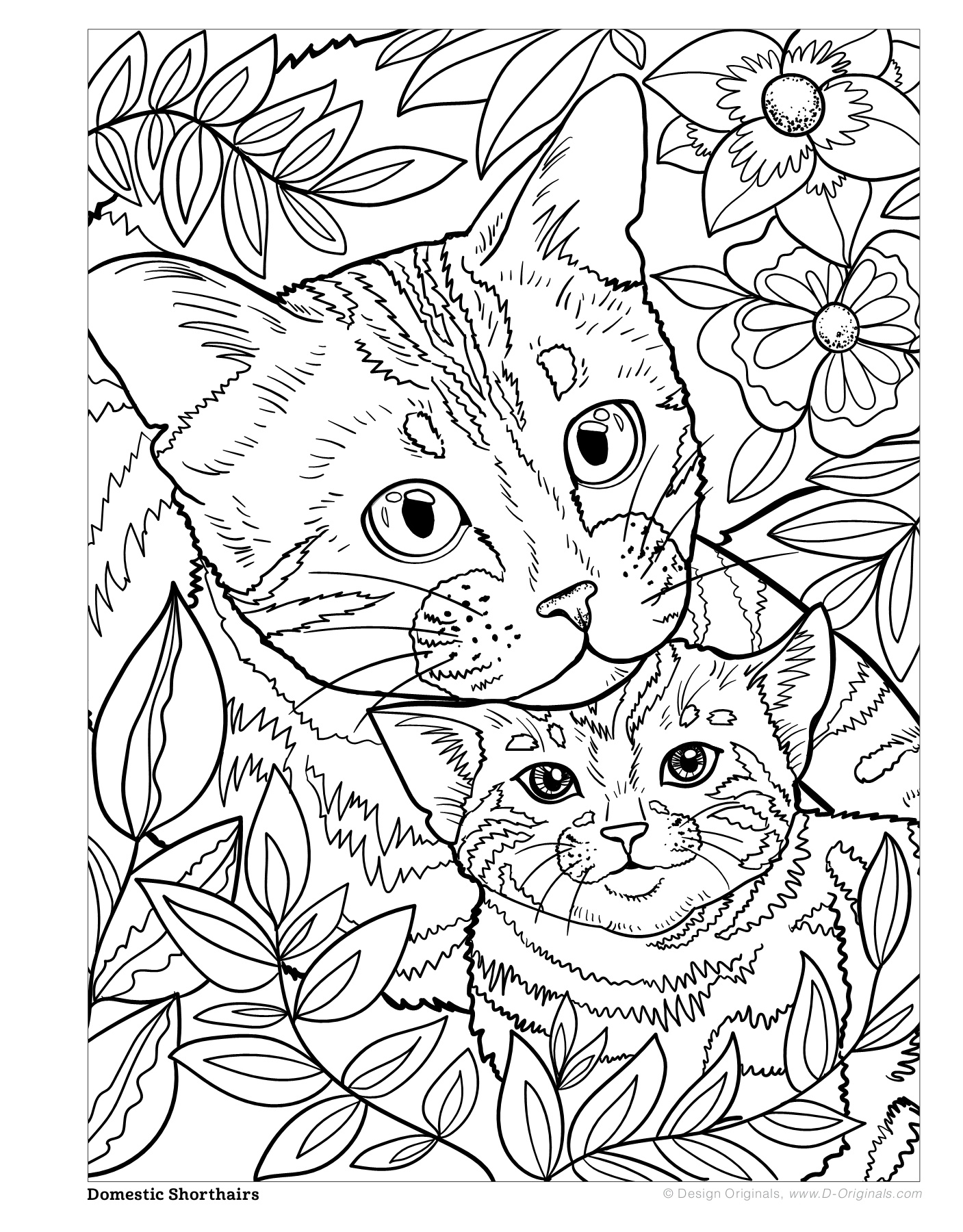 Cats Kittens Coloring Book Fox Chapel Publishing Co 