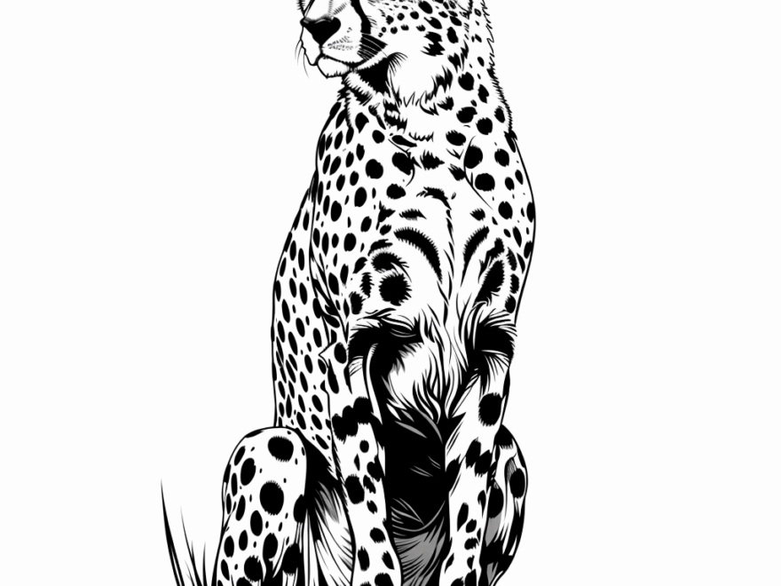 Cheetah Coloring Pages Free Printable