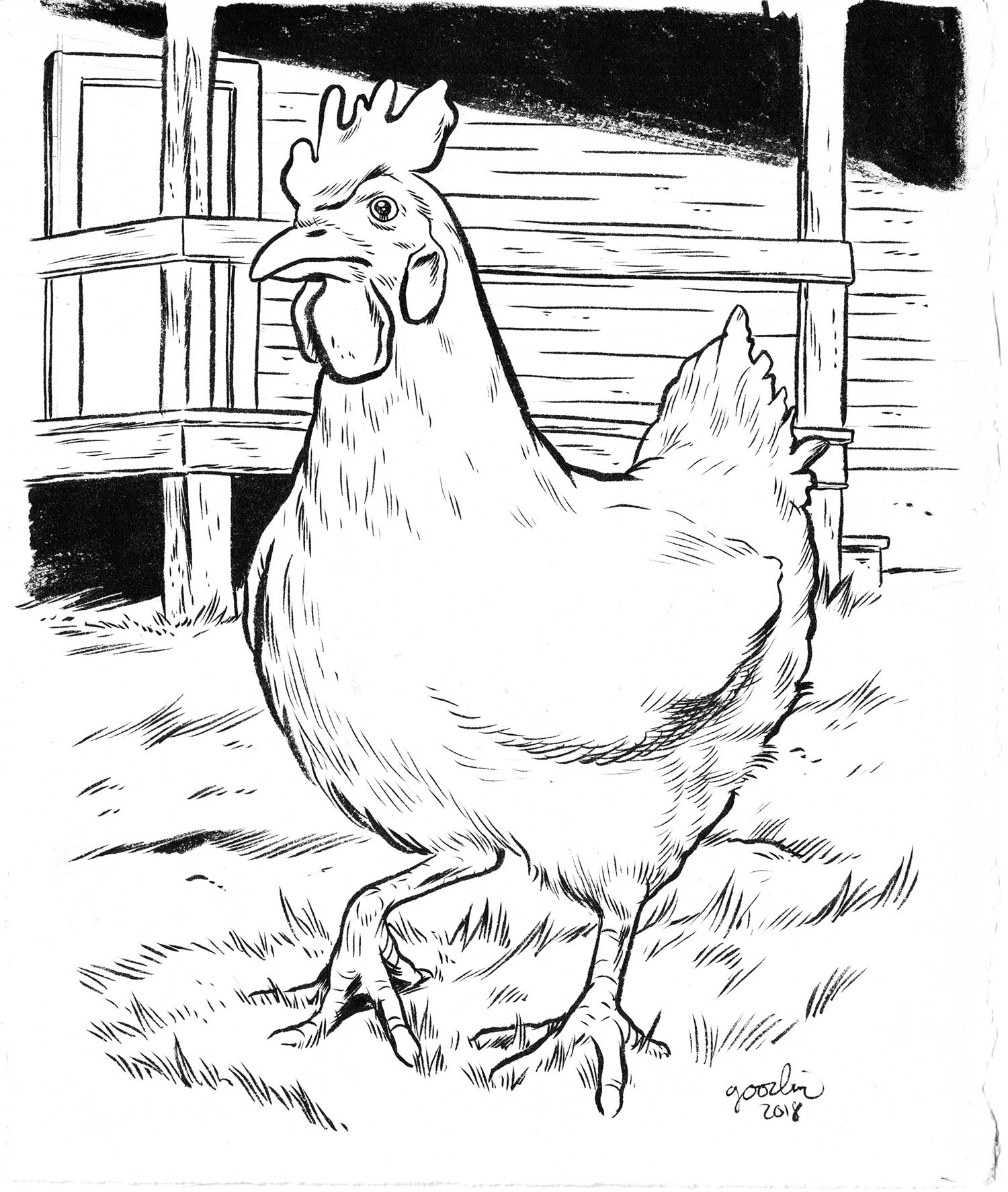 Realistic Chicken Coloring Pages