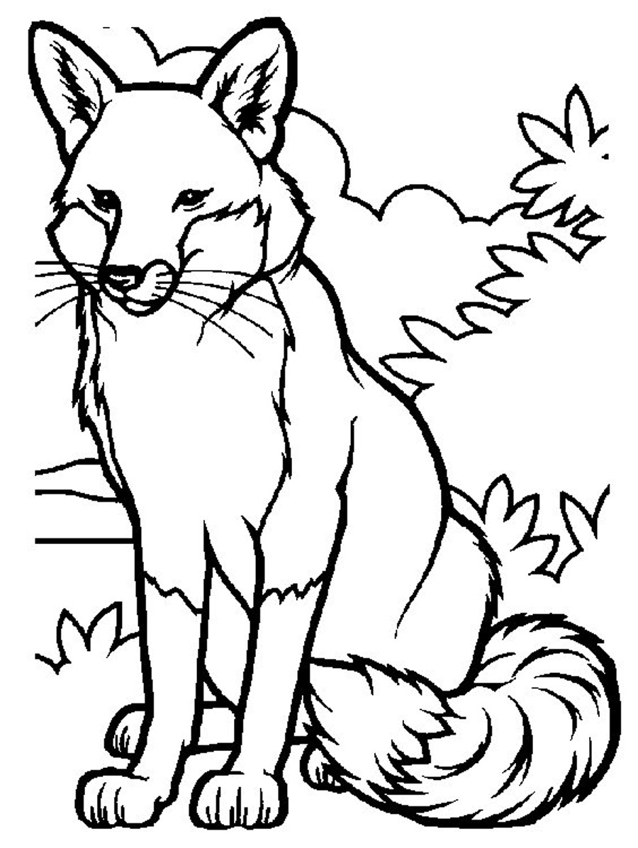 Coloring Pages Fox Coloring Pages
