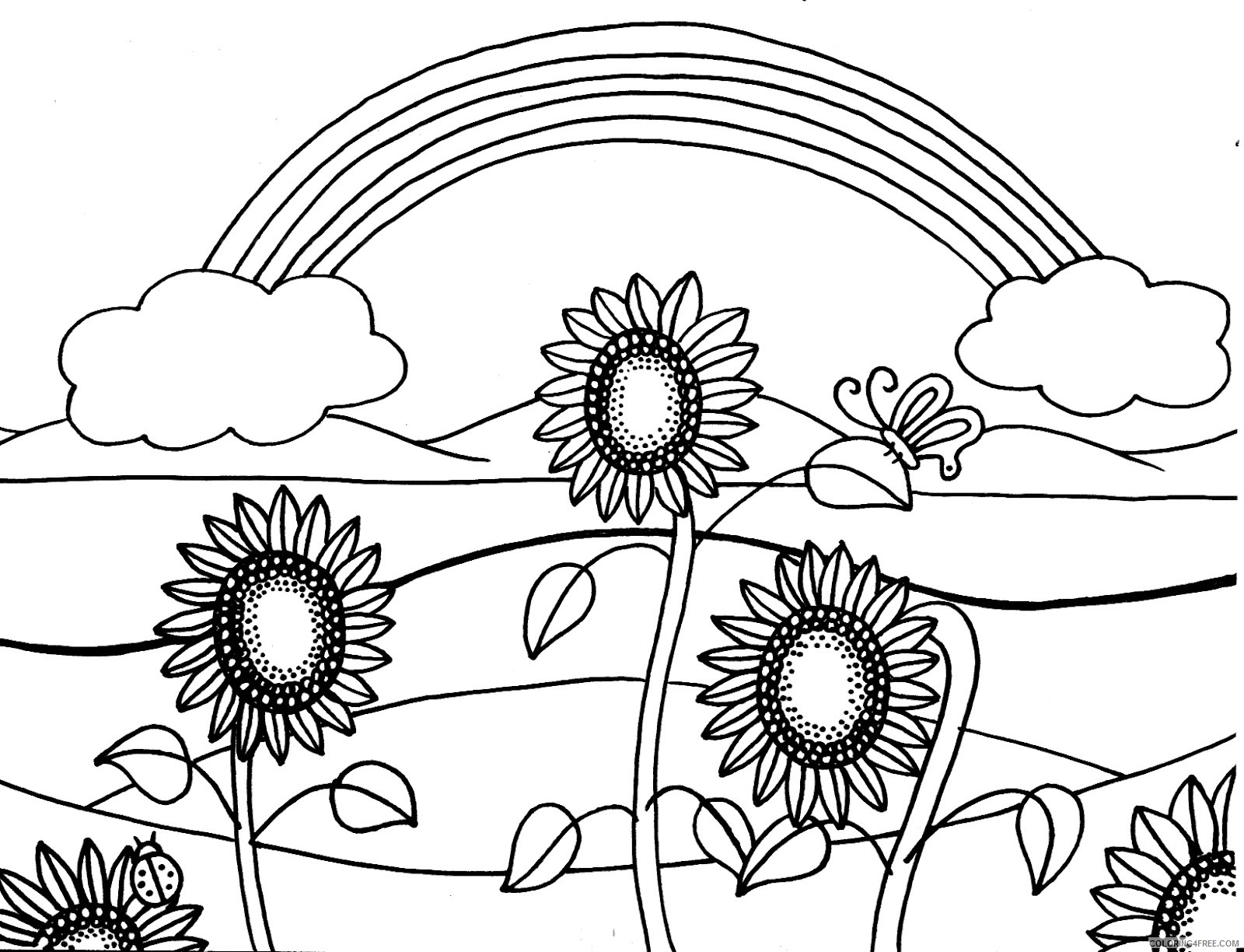Coloring Pages Sunflower Coloring Pages With Rainbow