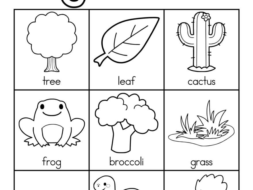 Colors Coloring Pages Preschool Kindergarten
