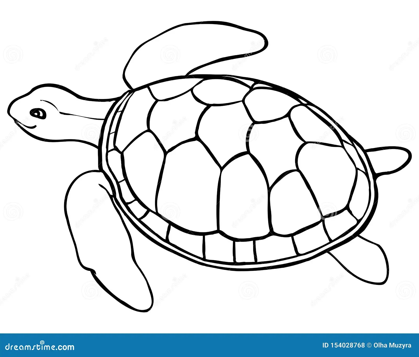 Contour Turtle Coloring Page For Kids Stock Vector Illustration Of Greeting Coloring 154028768