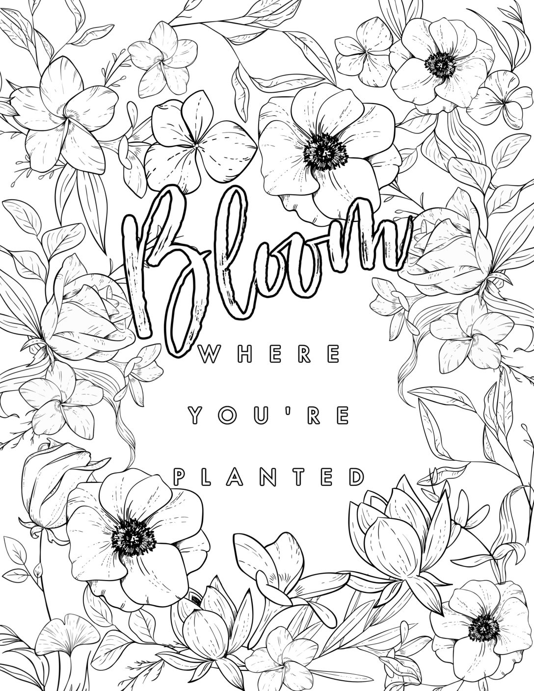 Creative Coloring Pages For Adults Creative Coloring Pages For Adults