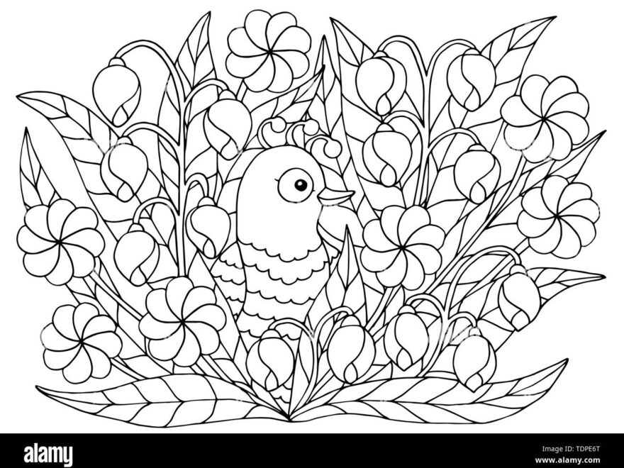 Cute Abstract Coloring Page With Summer Flowers And Bird For Kids And Adults Stock Vector Image Art Alamy