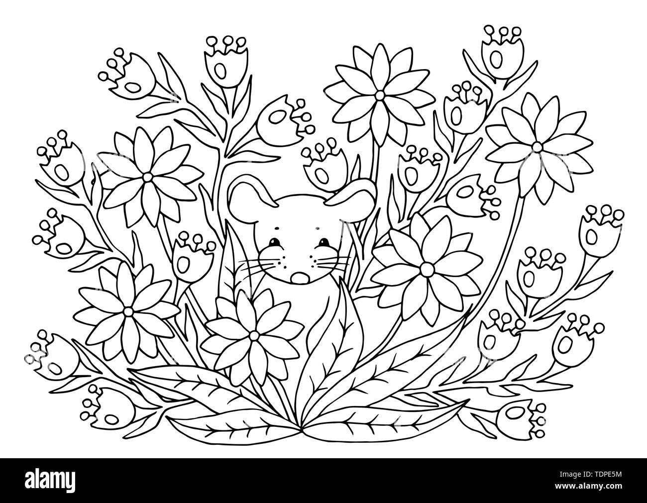 Cute Abstract Coloring Page With Summer Flowers And Mouse For Kids And Adults Stock Vector Image Art Alamy