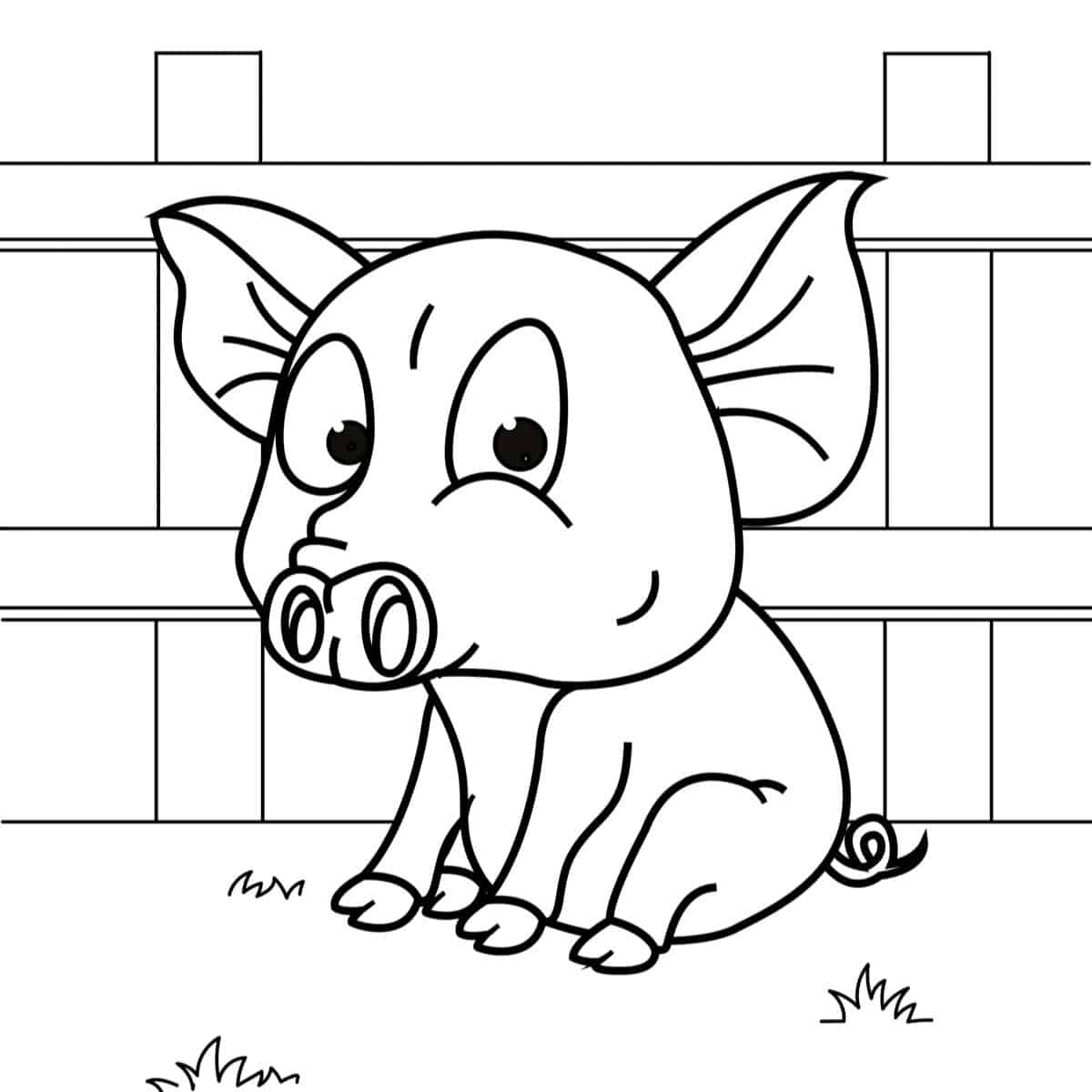 Coloring Pages Of Cute Pigs Coloring Pages Of Cute Pigs