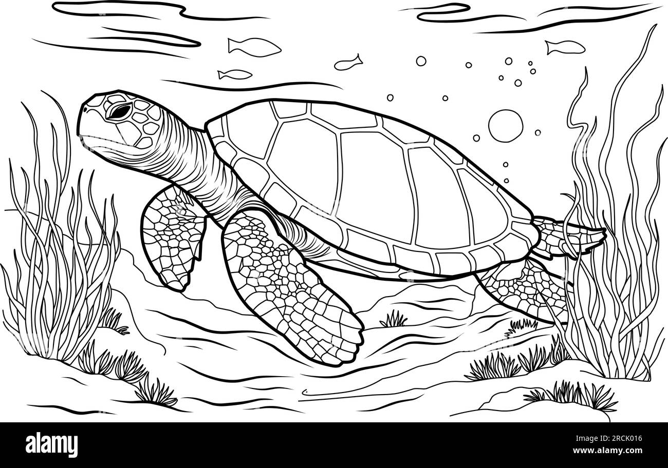 Cute Turtle Coloring Pages For Adults Black And White Stock Photos Images Alamy