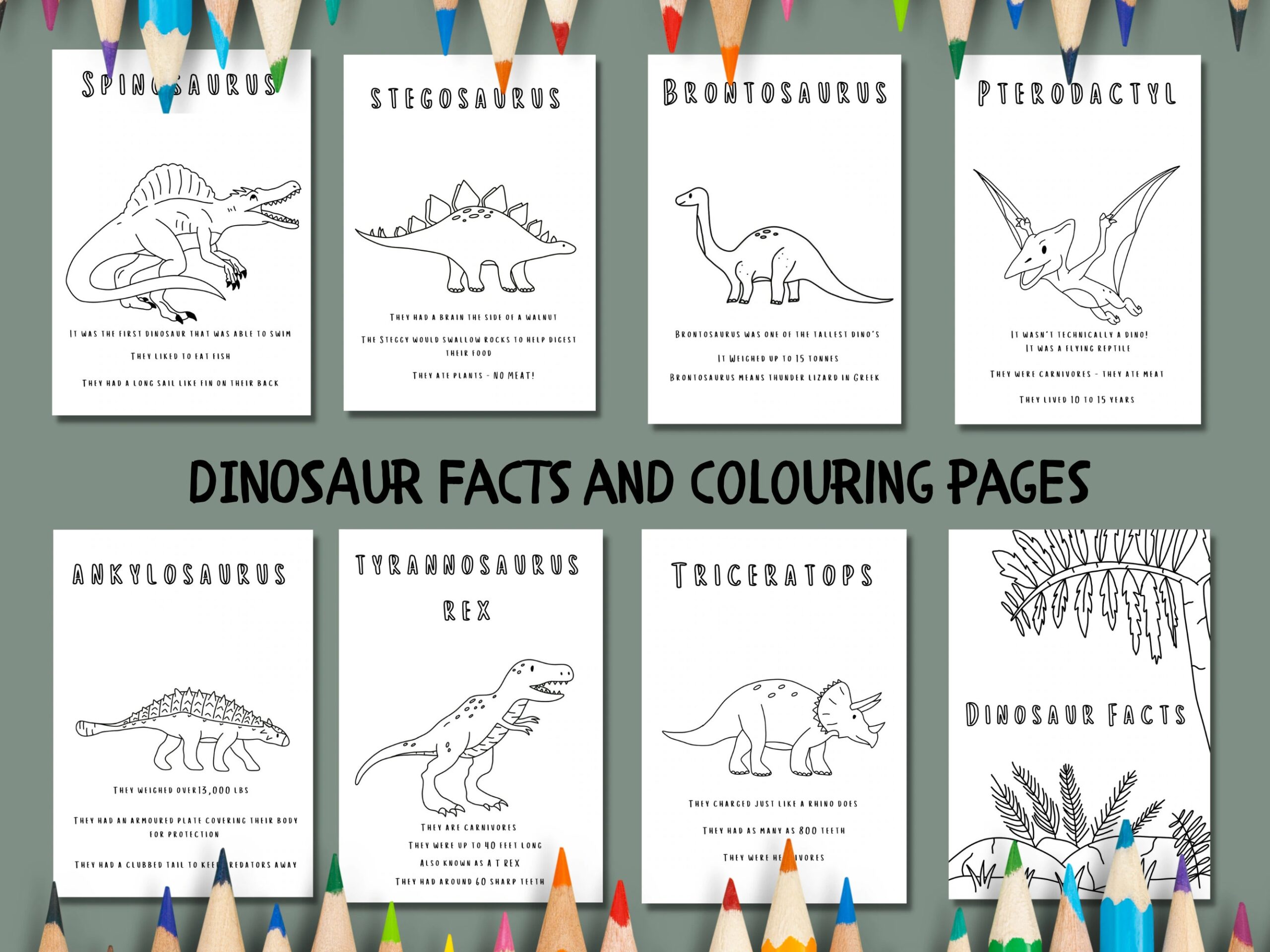 Dinosaur Colouring Pages Dinosaur Learning For Children Dinosaur Facts Dinosaur Crafts Download Dinosaur Printable Worksheets Etsy