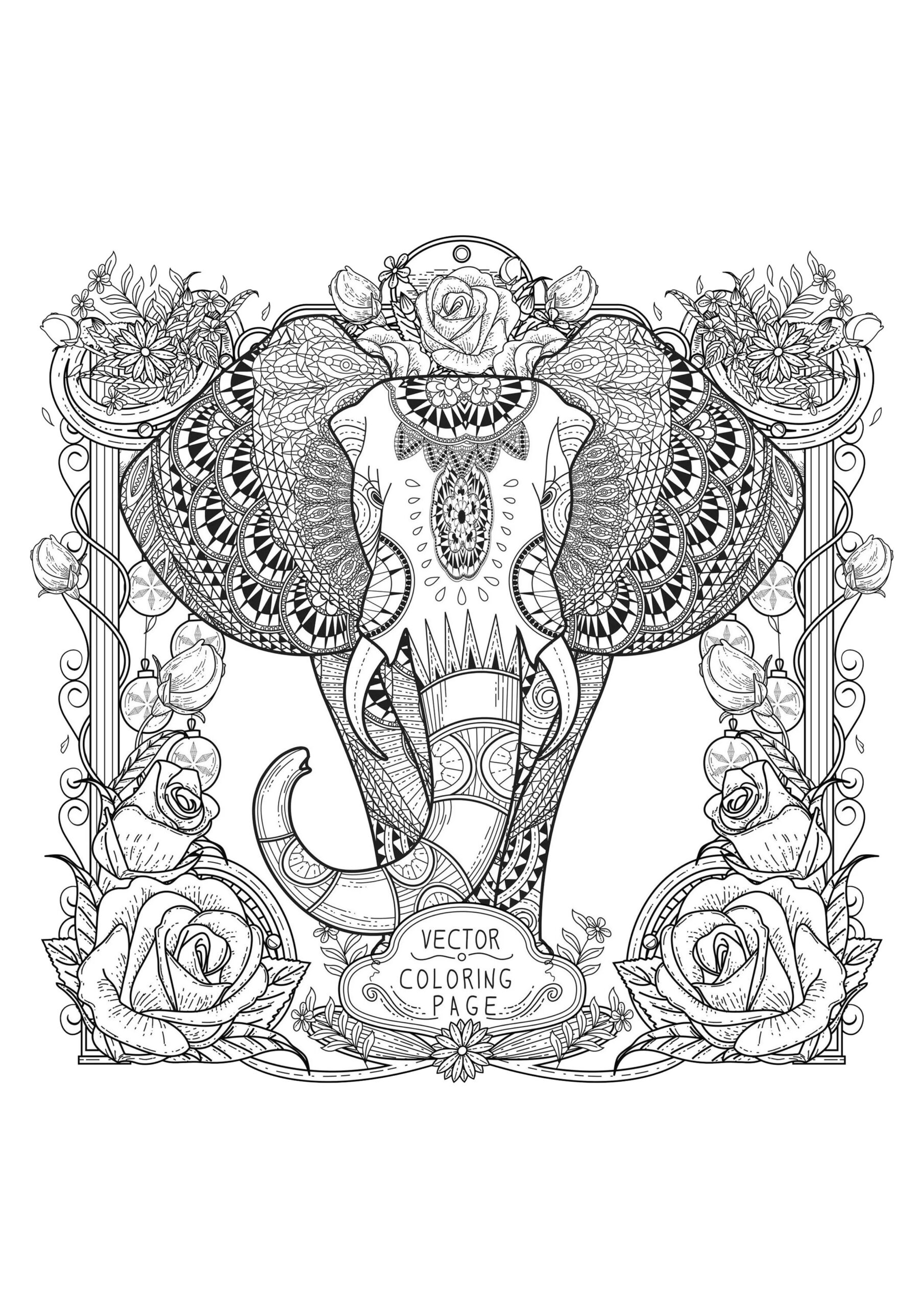 Elephant With Complex Patterns Elephant Coloring Pages For Adults