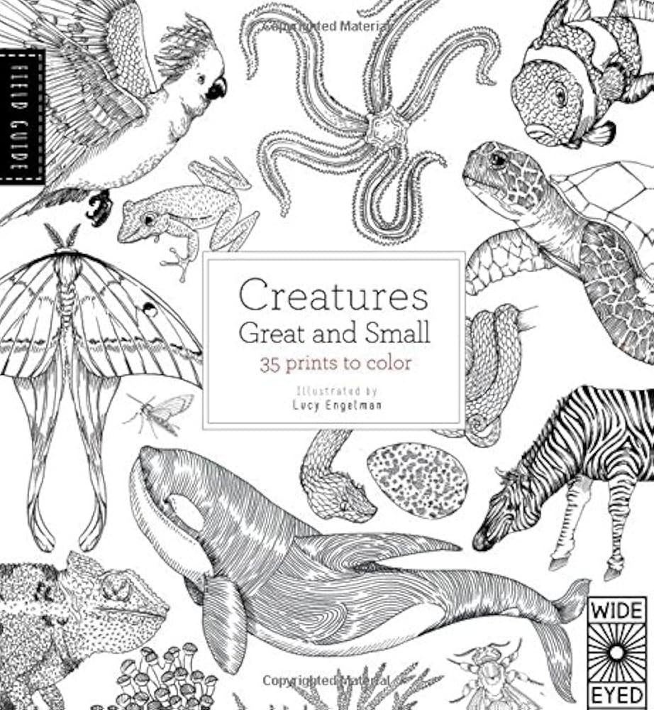 Coloring Pages Lives Of Tiny Creatures