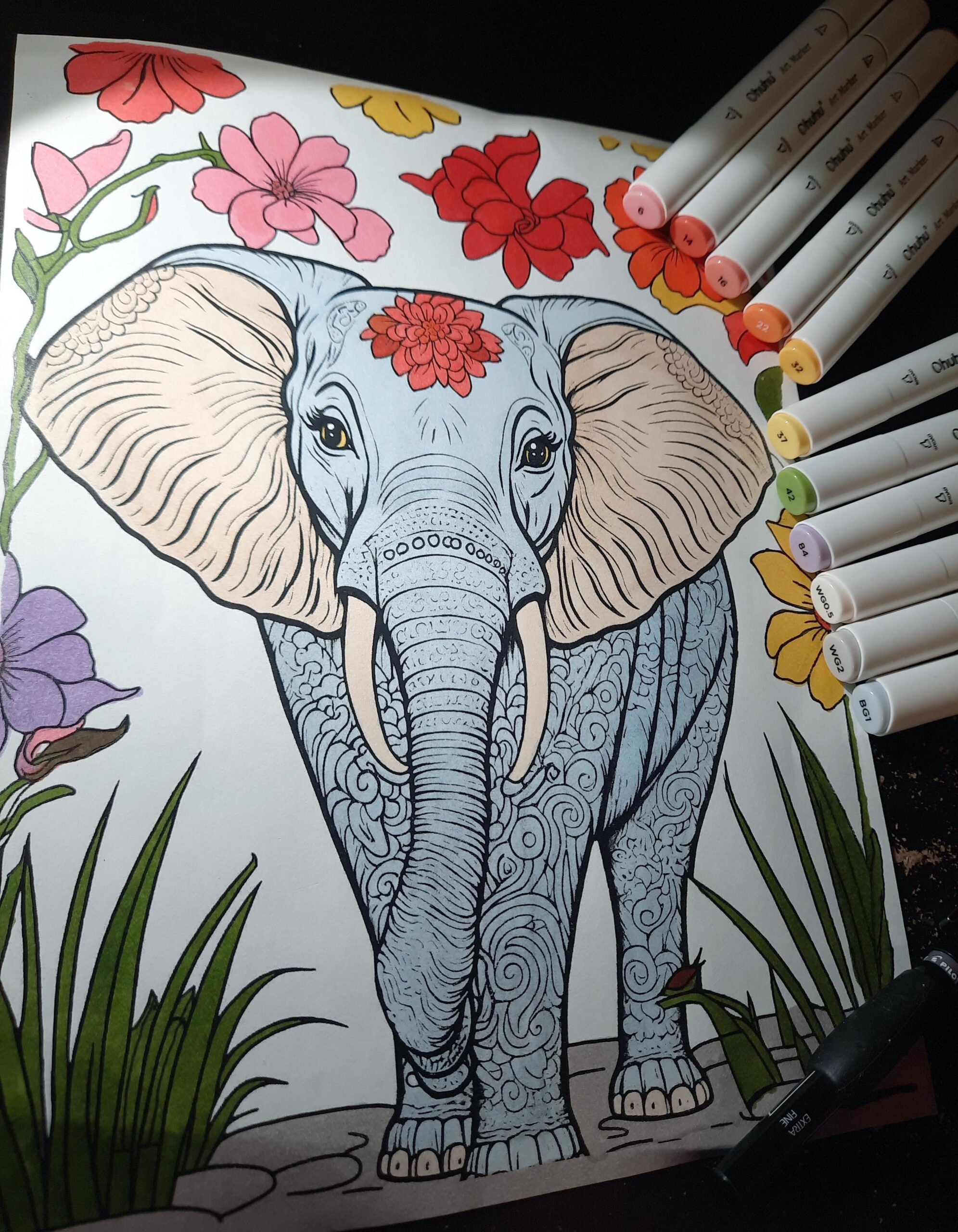 Elephant Drawing Coloring Pages