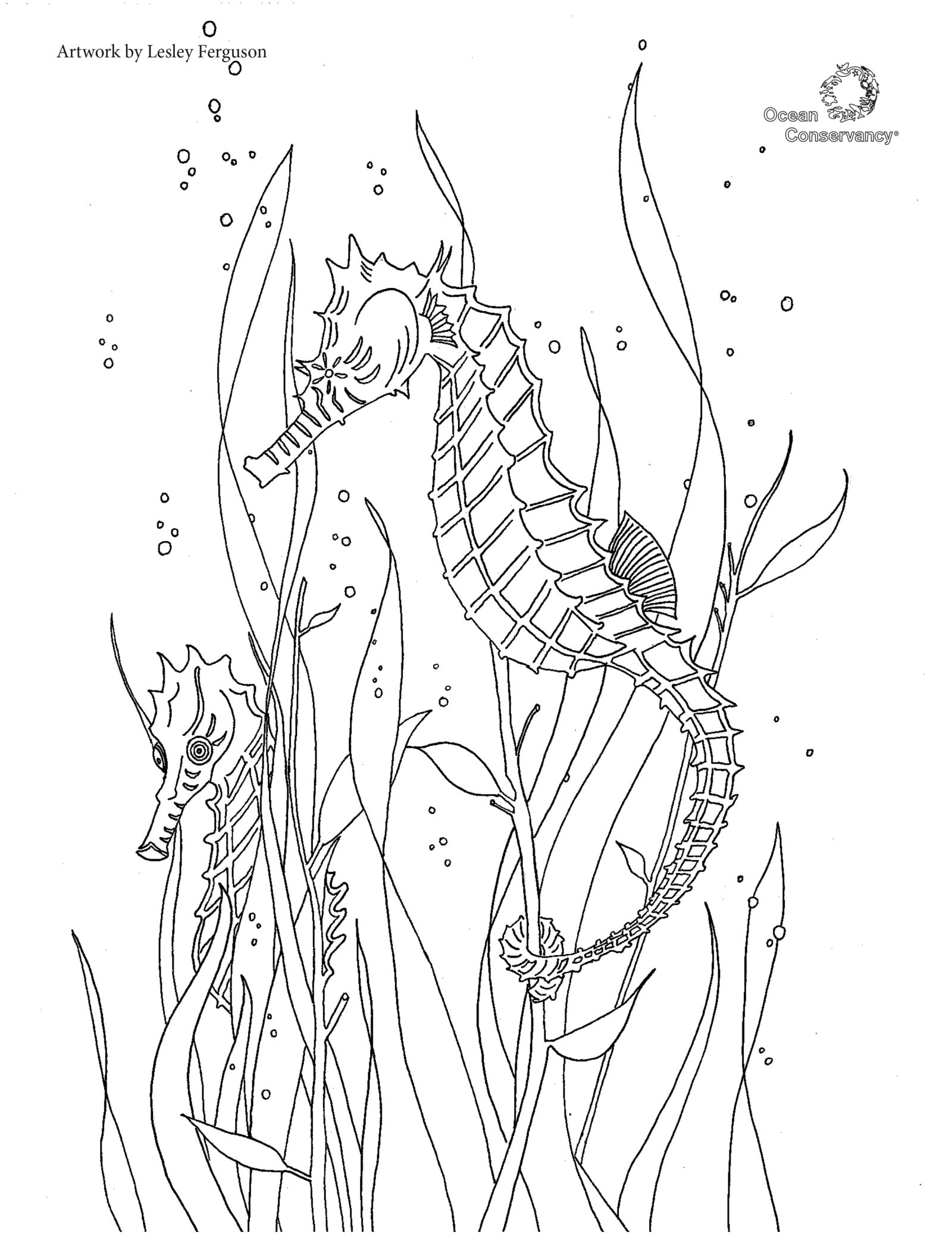 Fish Coloring Pages Ocean Conservancy