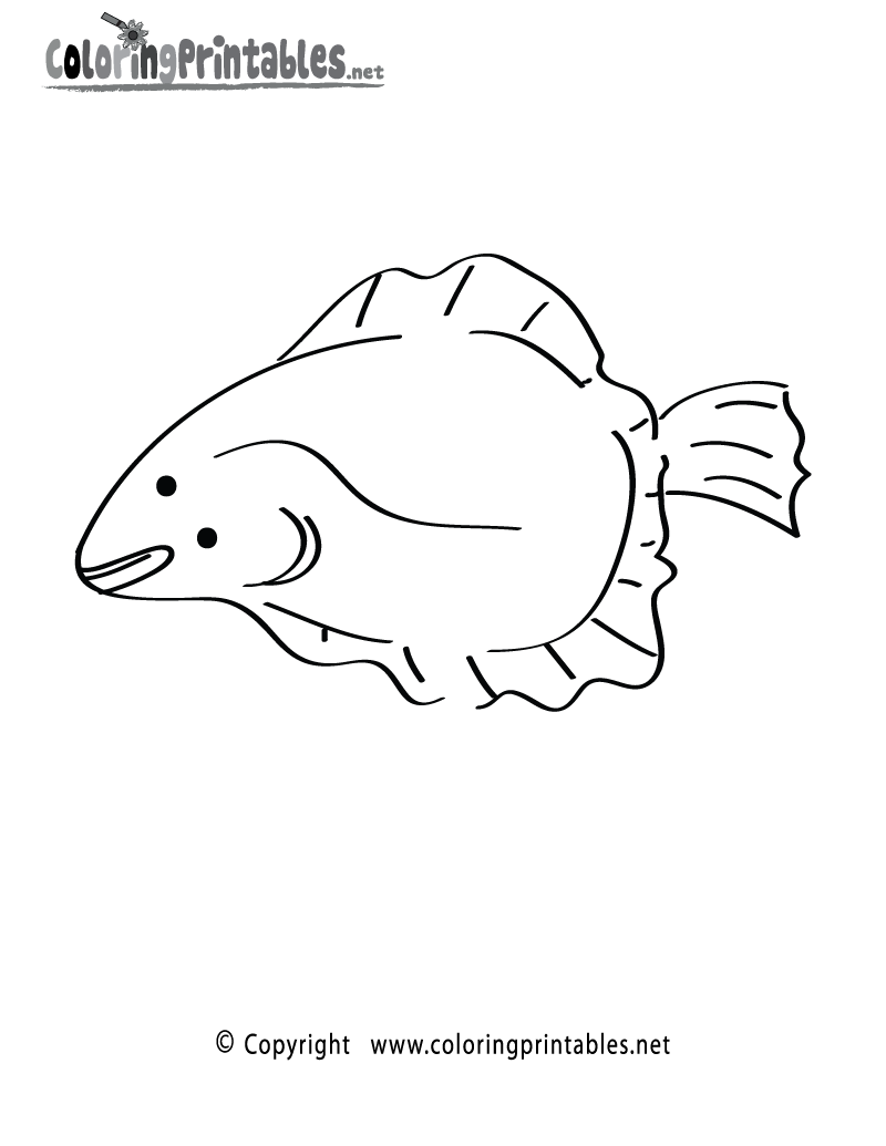 Flounder Fish Coloring Page A Free Ocean Coloring Printable