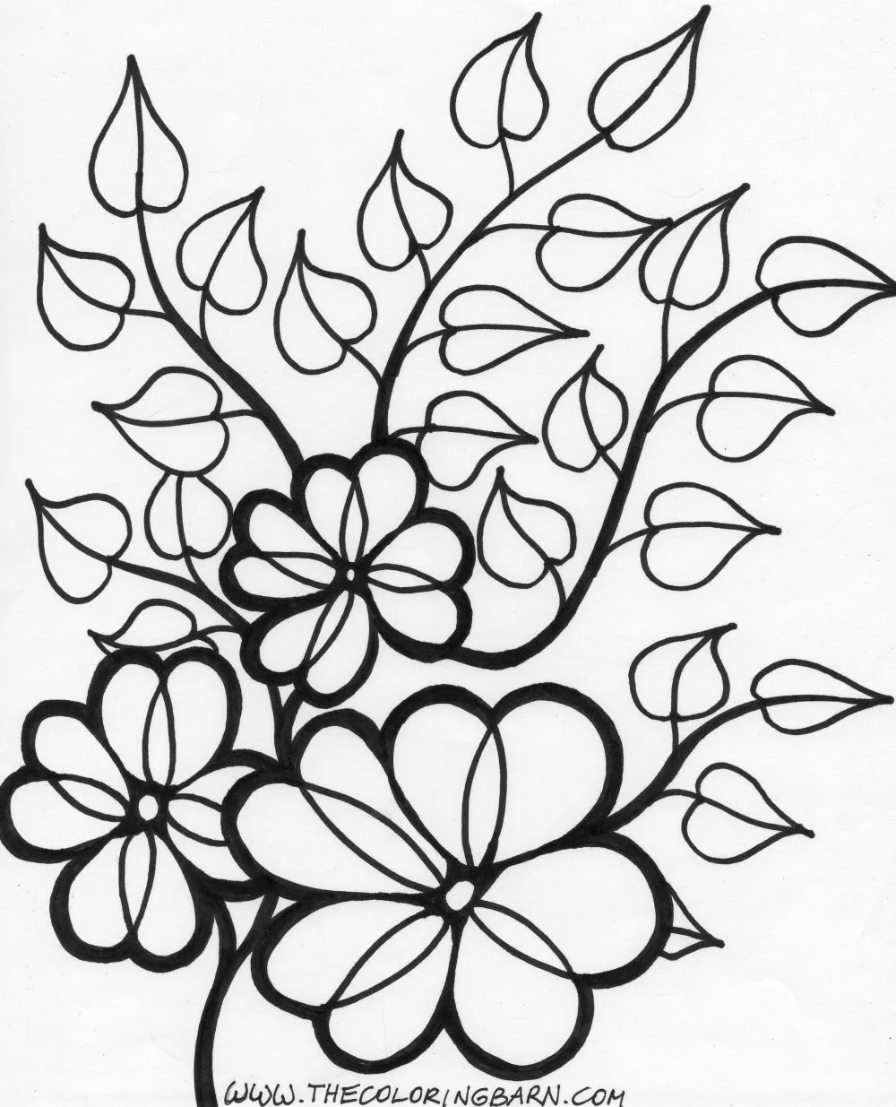 Flower Coloring Pages The Coloring Barn