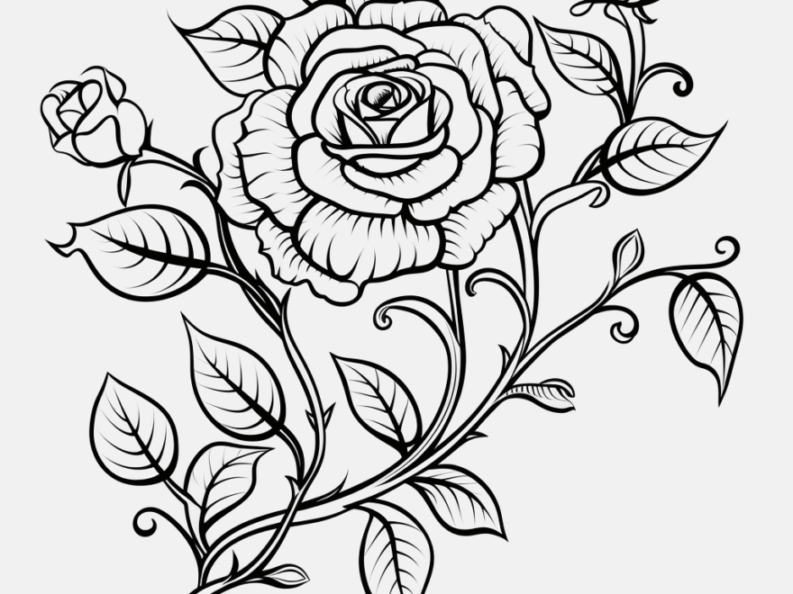 Flower Vine Coloring Pages Free Printable