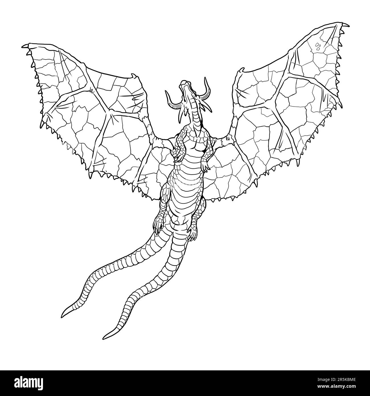 Flying Dragon Coloring Page Black And White Stock Photos Images Alamy