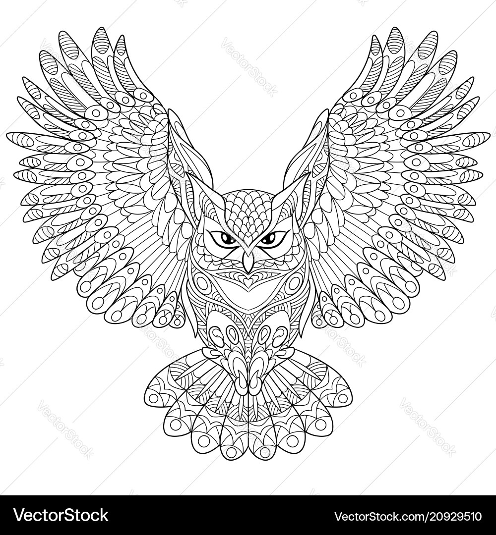 Flying Owl Coloring Page Royalty Free Vector Image