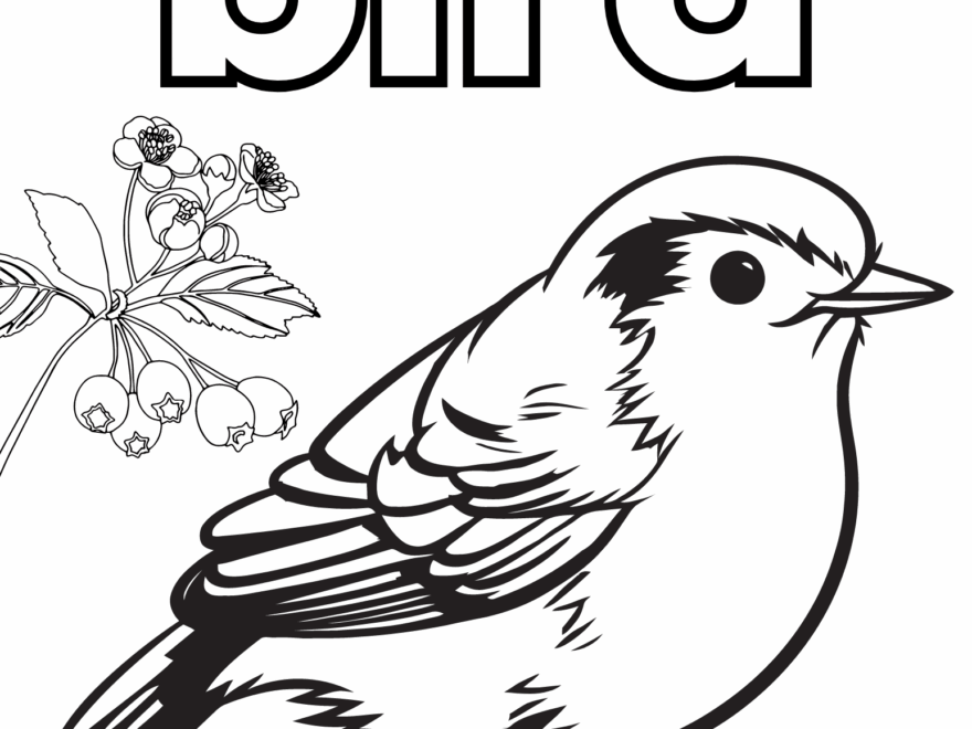 Free Bird Coloring Pages Crafty Morning