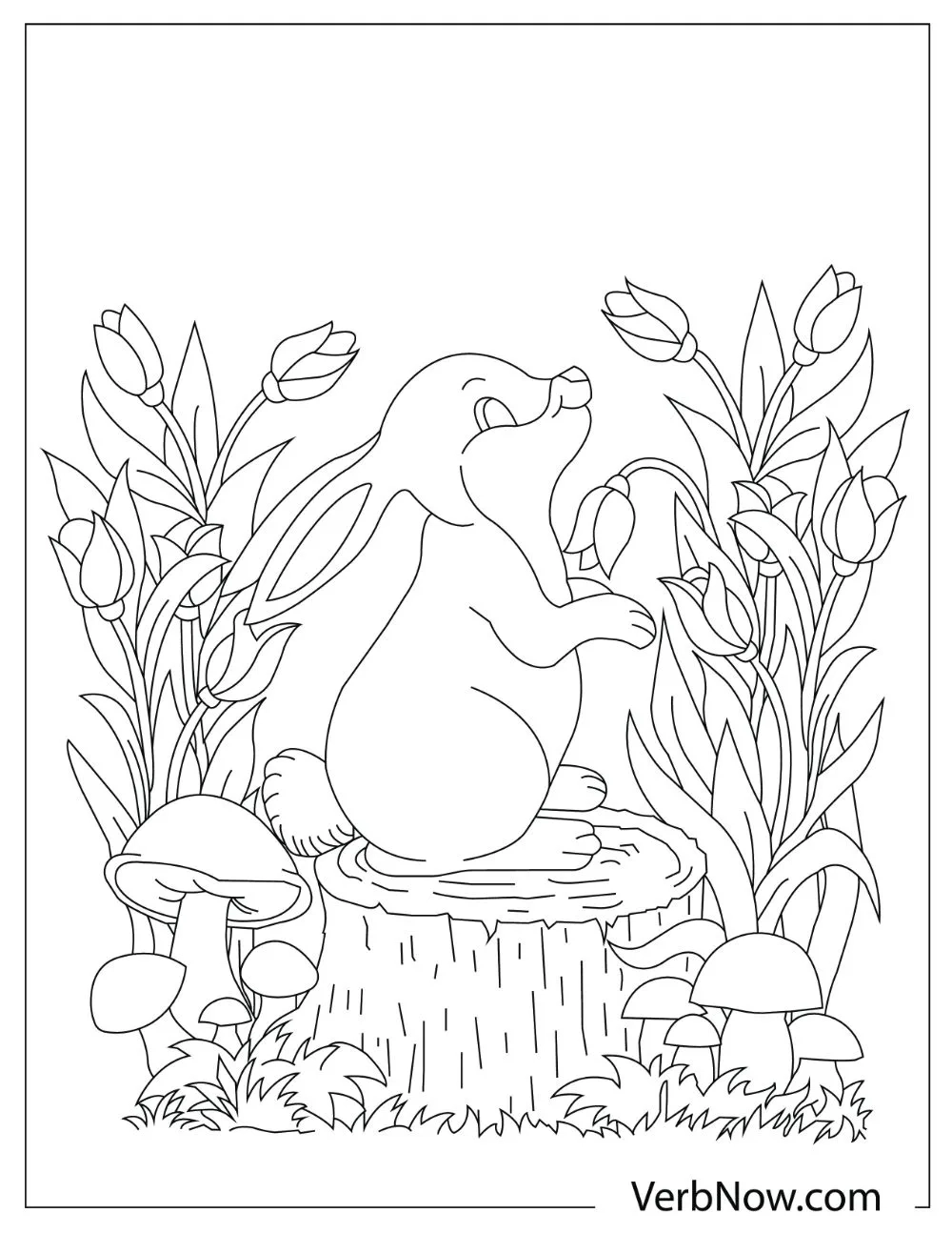 Bunny In Grass Coloring Pages